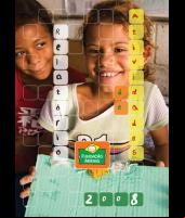 Relatório Anual 2008